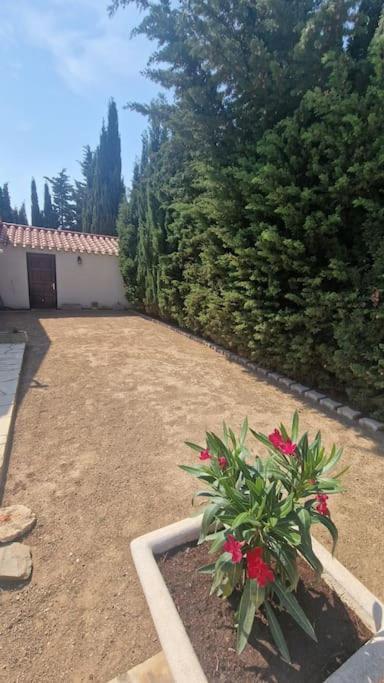 Jolie Villa Piscine A 15 Min Du Barcares サルス・ル・シャトー エクステリア 写真